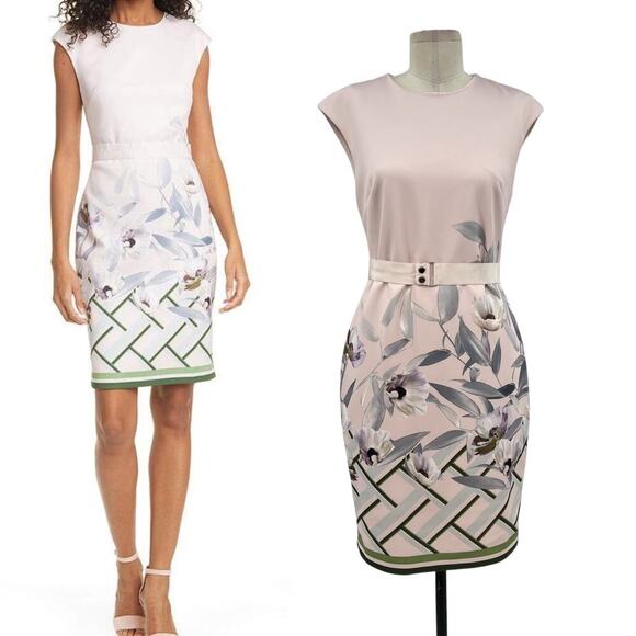 Ted Baker Haliey Everglade Dress Pale Pink Floral Print Size‎ 2 US 6 - Picture 1 of 15